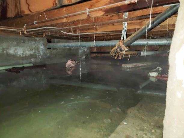 Local water damage restoration in WI