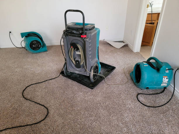 Best Local water damage restoration  in Boyceville, WI