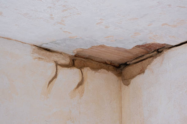 Best 24-hour water damage restoration  in Boyceville, WI