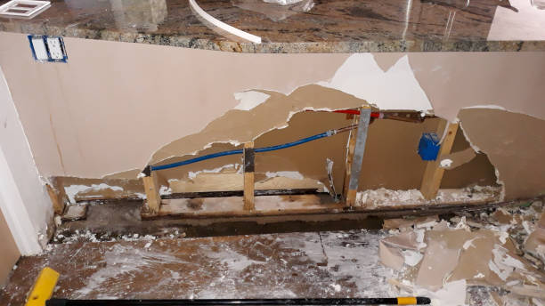 Best Ceiling water damage repair  in Boyceville, WI
