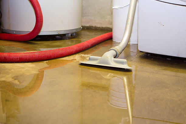Best Water damage cleanup near me  in Boyceville, WI