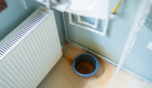 Best Residential water damage restoration  in Boyceville, WI