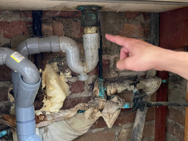 Best Commercial water damage restoration  in Boyceville, WI