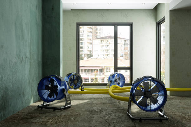 Best Flood restoration services  in Boyceville, WI