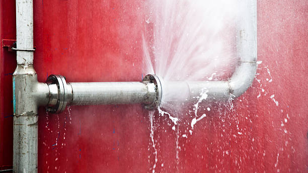 Best Ceiling water damage repair  in Boyceville, WI