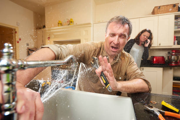 Best Water damage contractors near me  in Boyceville, WI
